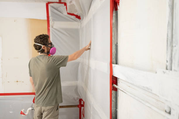 Best Water Damage & Mold Remediation  in Stepney, CT