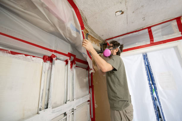 Best Airborne Mold Testing  in Stepney, CT